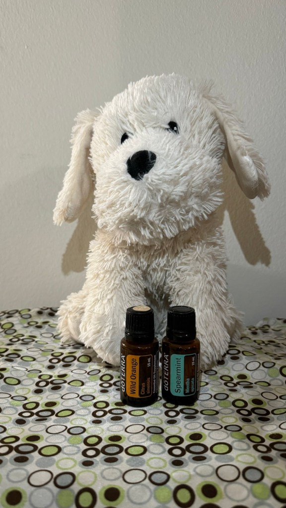 A yellow lab Warmie sits on a patterned cloth surface with bottles of Wild Orange and Spearmint essential oils from Doterra.